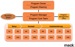 Program Management Structure
