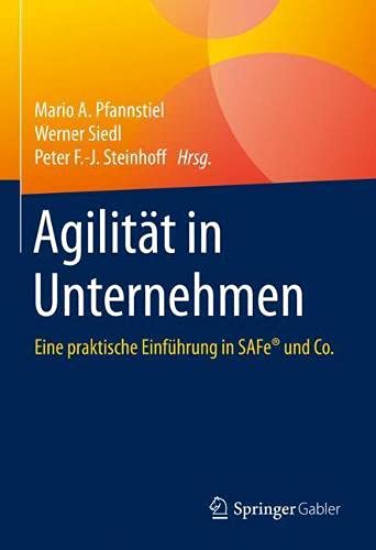 Pfannstiel Siedl Steinhoff Agilität in Unternehmen - Rezension - Oliver Mack - xm-institute