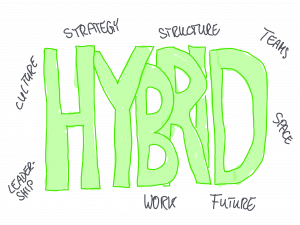Hybrid Strategy Hybrid Team Hybrid Leadership Hybrid Culture - Dr. Oliver Mack - xm-institute