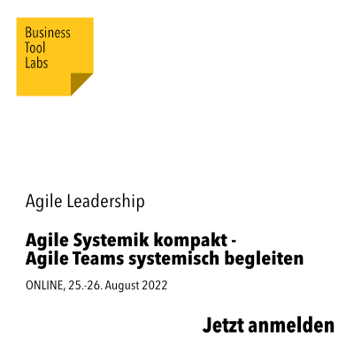 Agile Systemik -Agile Teams -Agile Leadership - xm-institute